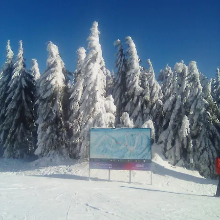 Leo Nr. 8 Lipno nad Vltavou