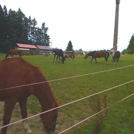 Lejlighed Leo Nr. 8 Lipno nad Vltavou