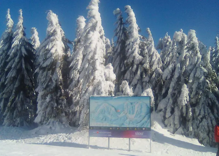 Leo Nr. 8 Lipno nad Vltavou